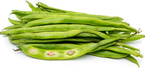 English Runner Beans Information, Recipes and Facts