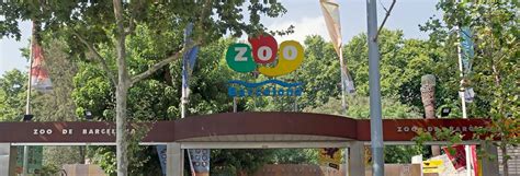 Entrada al Zoo de Barcelona   Reserva online en Civitatis.com