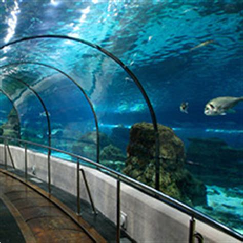 Entradas en L Aquarium de Barcelona   entradas.com