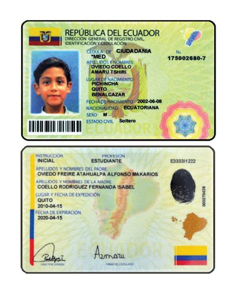 Entradas/Salidas de Peruanos/Ecuatorianos hacia Ecuador y ...