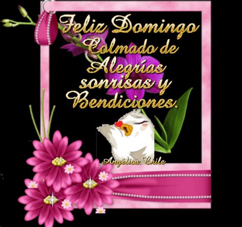 Envia Imágenes de Feliz Domingo en Frases y Mensajes Bonitos