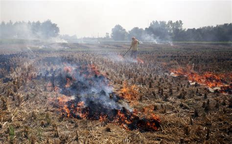 Environmentalists Ask: Is India’s Government Making Bad ...