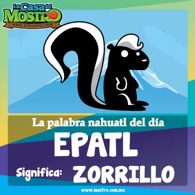 Epatl significa Zorrillo en nahuatl | Palabra Nahuatl ...