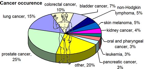 Epidemiology of cancer   Wikipedia
