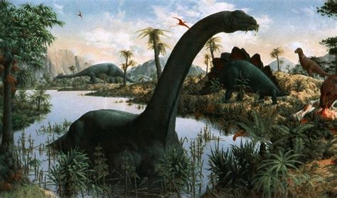 Época de dinosaurios y su extinción   SobreHistoria.com