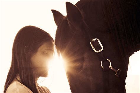 Equine Therapy | Community Counseling Solutions