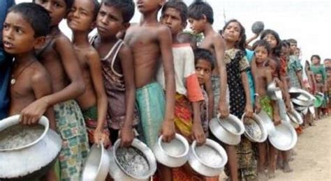 ¿Es inevitable la hambruna mundial? | Blog | teleSUR