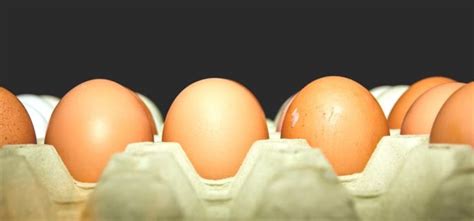 ¿Es malo comer huevos crudos?   rolloid