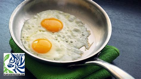 ¿ES MALO COMER HUEVOS TODOS LOS DÍAS? RESPUESTA CORRECTA ...