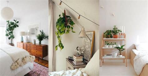 ¿Es malo dormir en una habitación con plantas?
