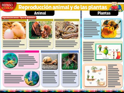 Escolar: Reproducción animal y de las plantas | ElPopular.pe