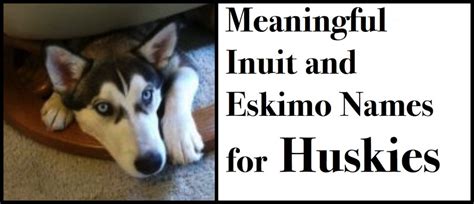 Eskimo and Inuit Names for Huskies and Other Dog Breeds ...