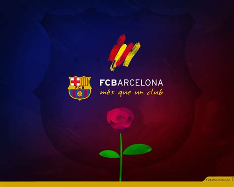 Especial Sant Jordi   FC Barcelona