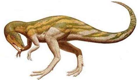 Especies de dinosaurios   Taringa!