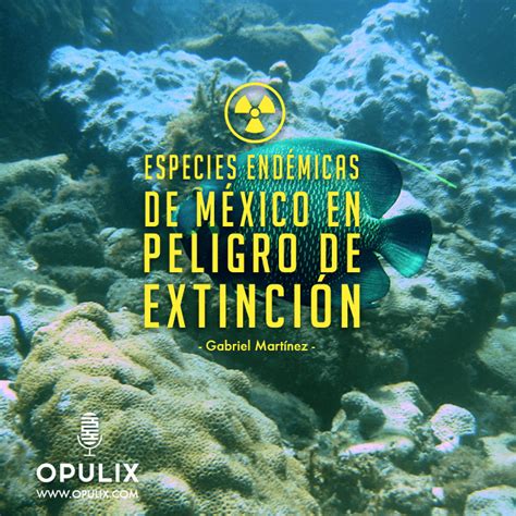 Especies endémicas de México en peligro de extinción   Opulix