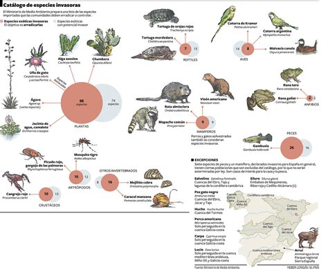 Especies invasoras en España | Resumen del Catálogo de ...