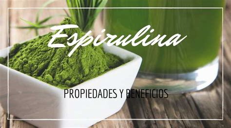 Espirulina ⇒ El Alga Poderosa: Propiedades y Beneficios