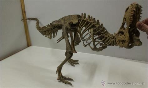 esqueleto de dinosaurio . tiranosaurio rex .   Comprar ...