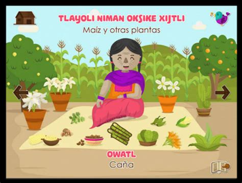 Esta app está enseñándole al mundo a hablar náhuatl ...