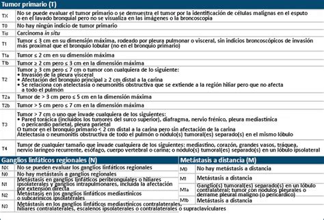 Estadificación del cáncer de pulmón: opciones de estudios ...