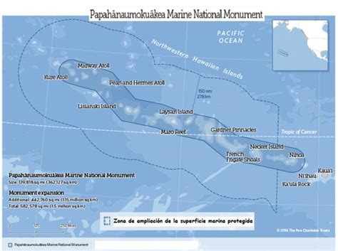 Estados Unidos crea en Hawái la mayor reserva marina del ...