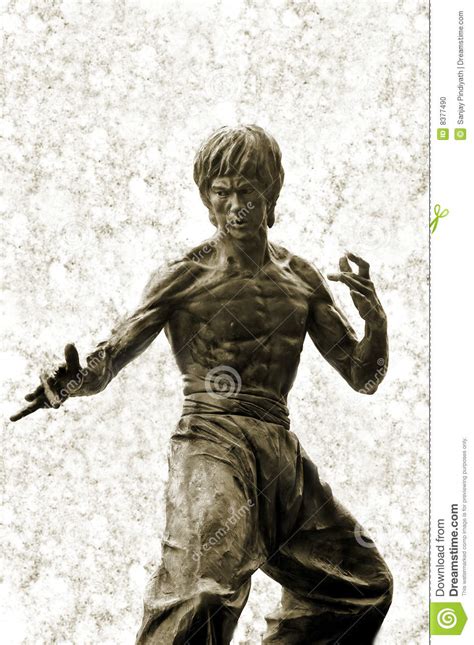 Estatua de Bruce Lee imagen editorial. Imagen de estrella ...