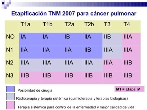 Estrate de tx ca pulmon 02 oct 2014