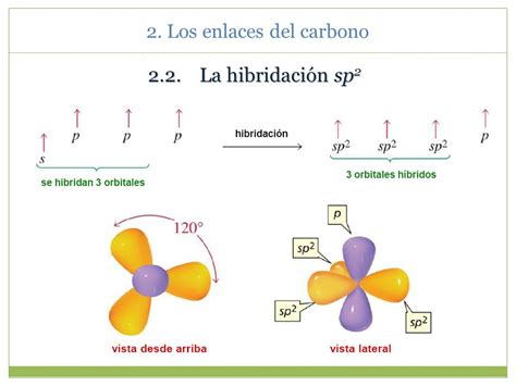 ESTRUCTURA DE LAS MOLÉCULAS ORGÁNICAS   ppt descargar