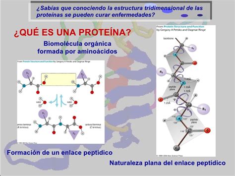 Estructura de las proteínas