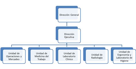 Estructura organizacional de Medicina Laboral de Venezuela