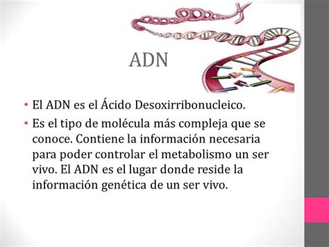 ESTRUCTURA Y FUNCION DEL ADN   ppt video online descargar