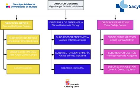 Estructura y órganos de dirección | Complejo Asistencial ...