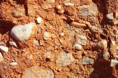 Estudio y clasificación de rocas sedimentarias