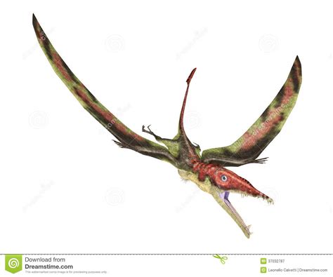 Eudimorphodon Flying Prehistoric Reptile, Photorealistic ...