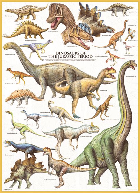 EuroGraphics Dinosaurs Jurassic 1000 Piece Puzzle. Over 20 ...