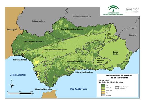 :: Evaluación de Ecosistemas del Milenio en Andalucía ...