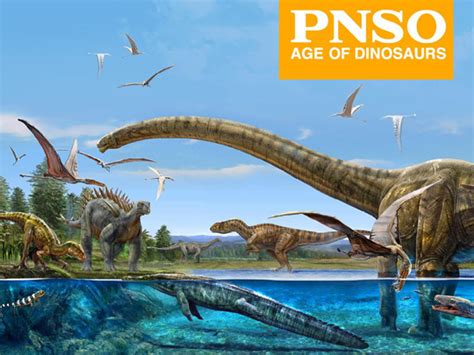 Everything Dinosaur Stocks PNSO Age of Dinosaurs