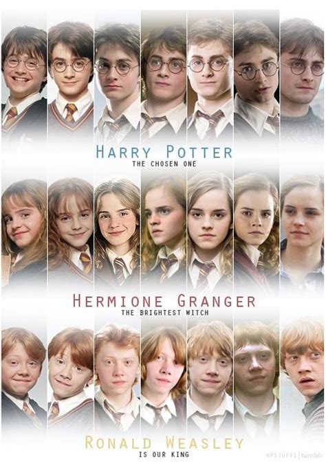 Evolucion de los personajes: Harry Potter
