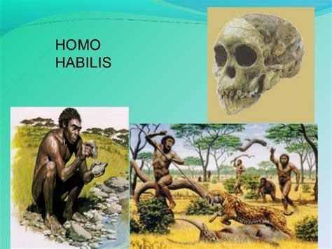 Evolución del Hombre y modo de vida en el Paleolítico y ...
