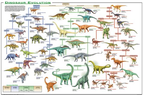 Evolution of Reptiles and Birds | prescribed evolution