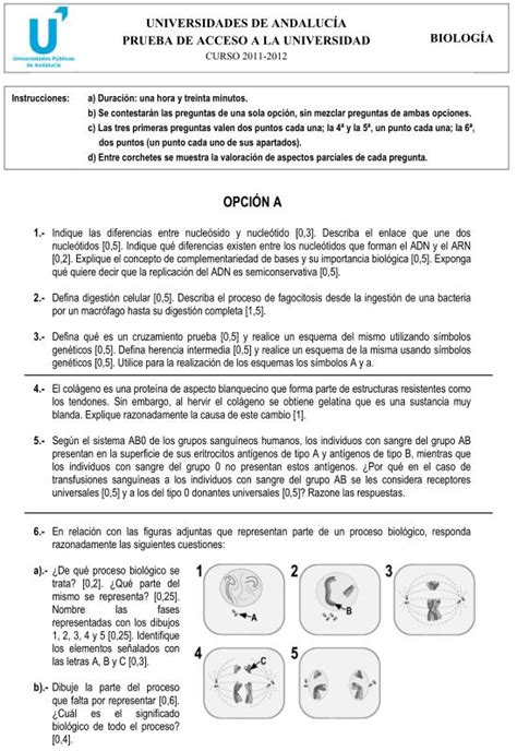 Examen de Selectividad: Biología 2. Andalucía ...