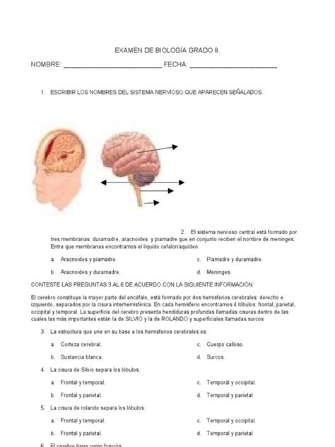 Examen de Sistema Nervioso Central
