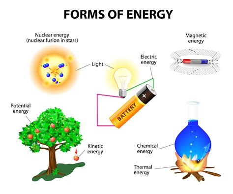 Examples Of Light Energy For Kids | www.pixshark.com ...