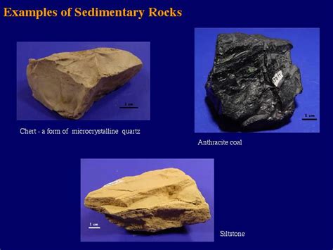 Examples of Sedimentary Rocks