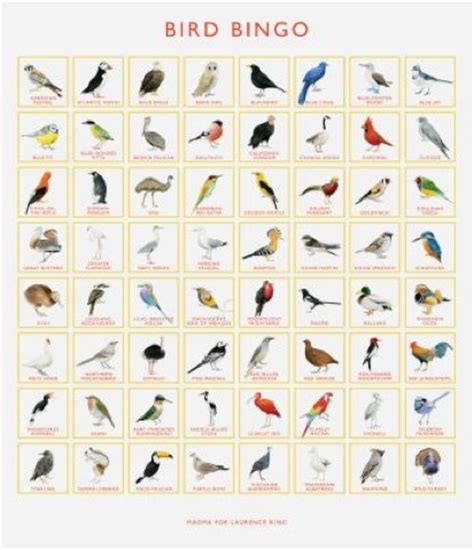 Exotic Birds Names | www.pixshark.com   Images Galleries ...