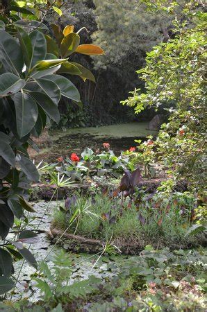 Exotic Gardens of Rabat Sale   Aktuelle 2018   Lohnt es sich?