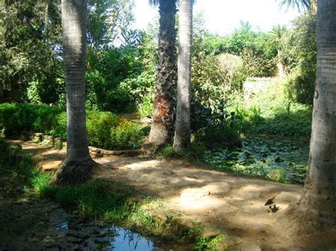 Exotic Gardens of Rabat Sale   All You Need to Know Before ...
