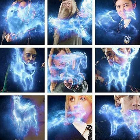 Expecto Patronum! What is your Patronus? | Harry Potter Amino