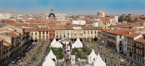 Expérience dans Alcalá De Henares, Espagne par Caro ...