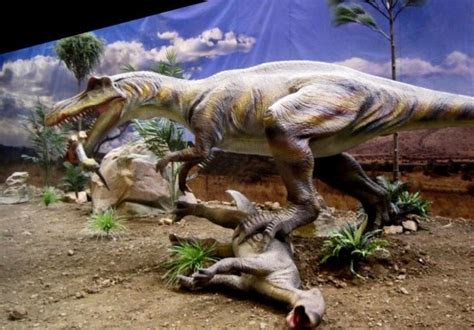 Expo Jurásico | Dinosaurios animatrónicos a escala real